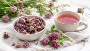 red clover benefits