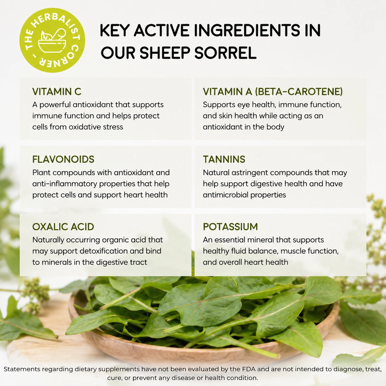sheep sorrel wild harvested key ingredients