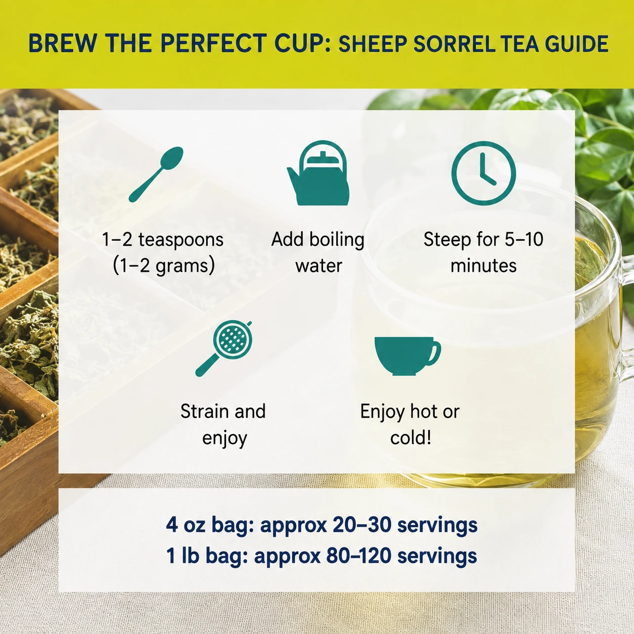 sheep sorrel wild harvested versatile uses