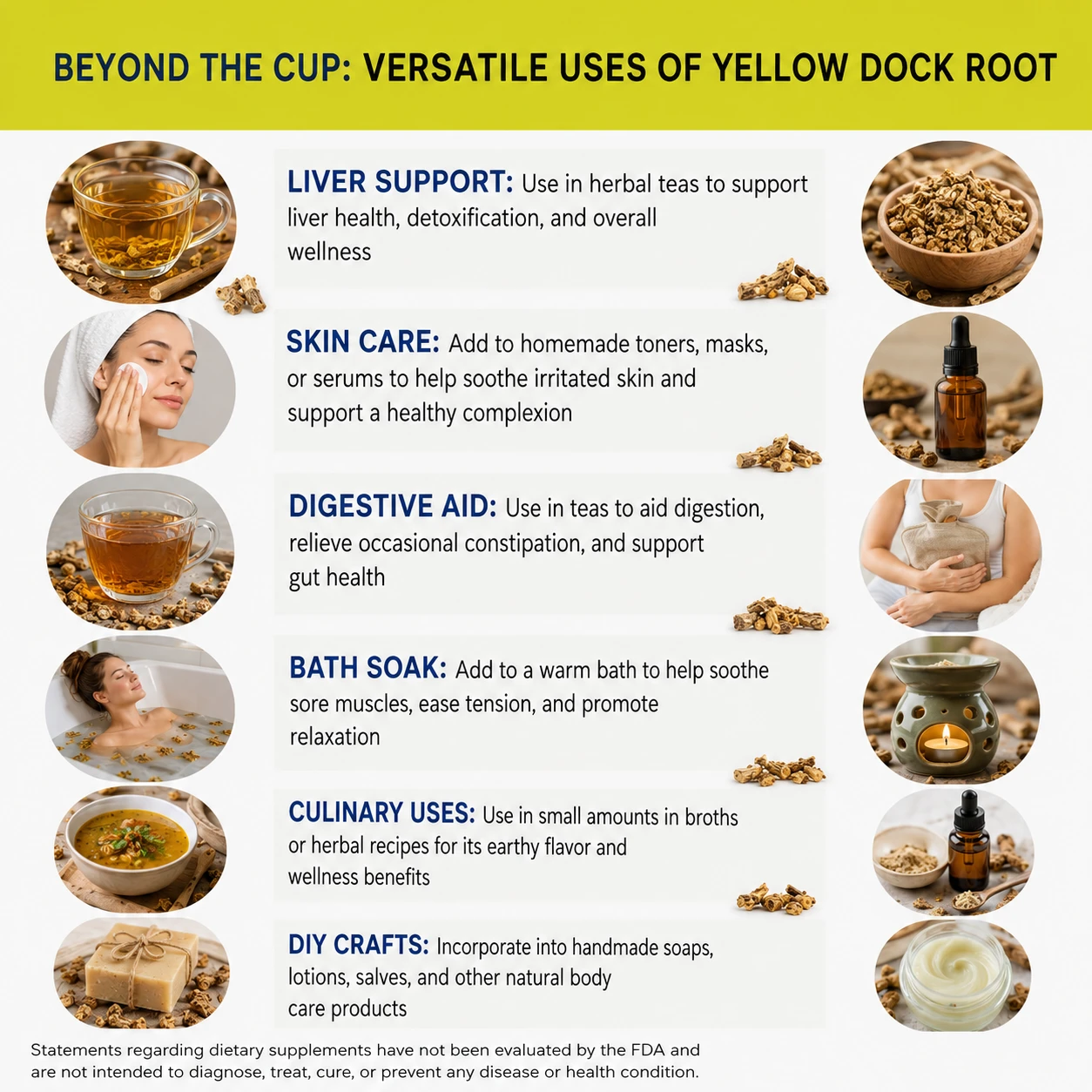 wild harvested yellow dock root versatile uses