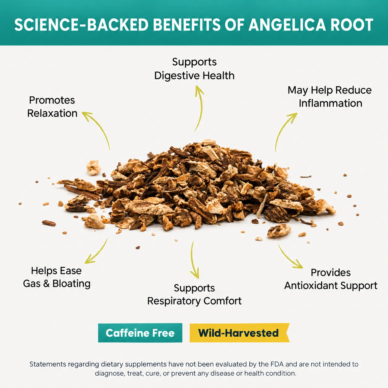 angelica root wild harvested cs benefits