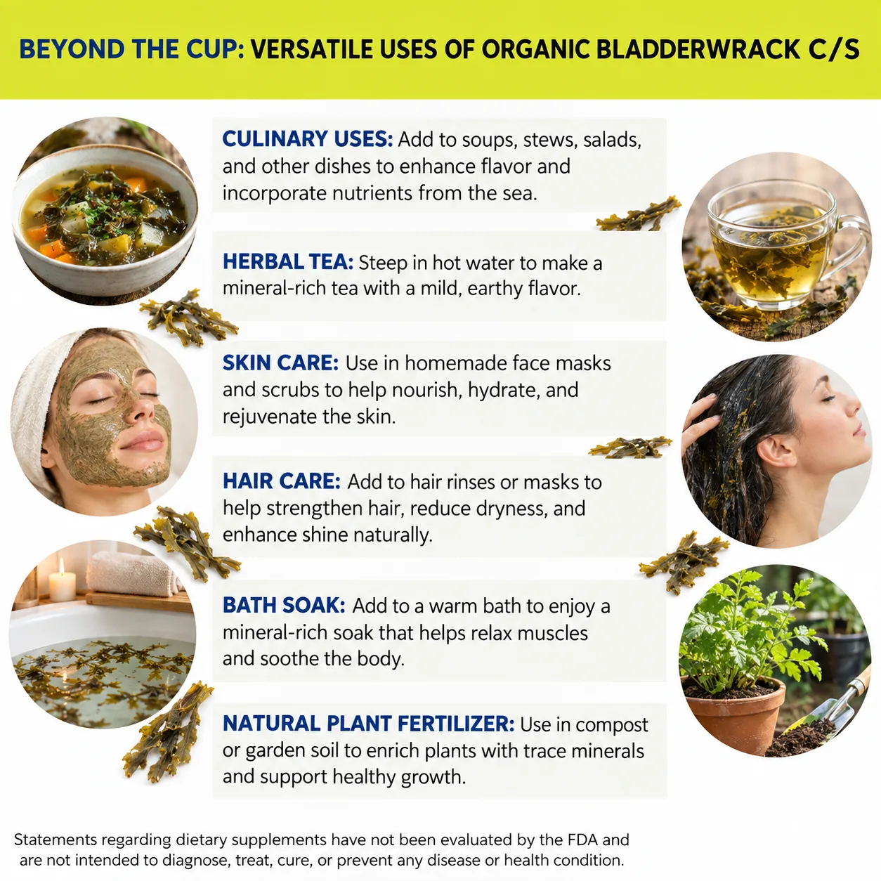organic bladderwrack c/s versatile uses