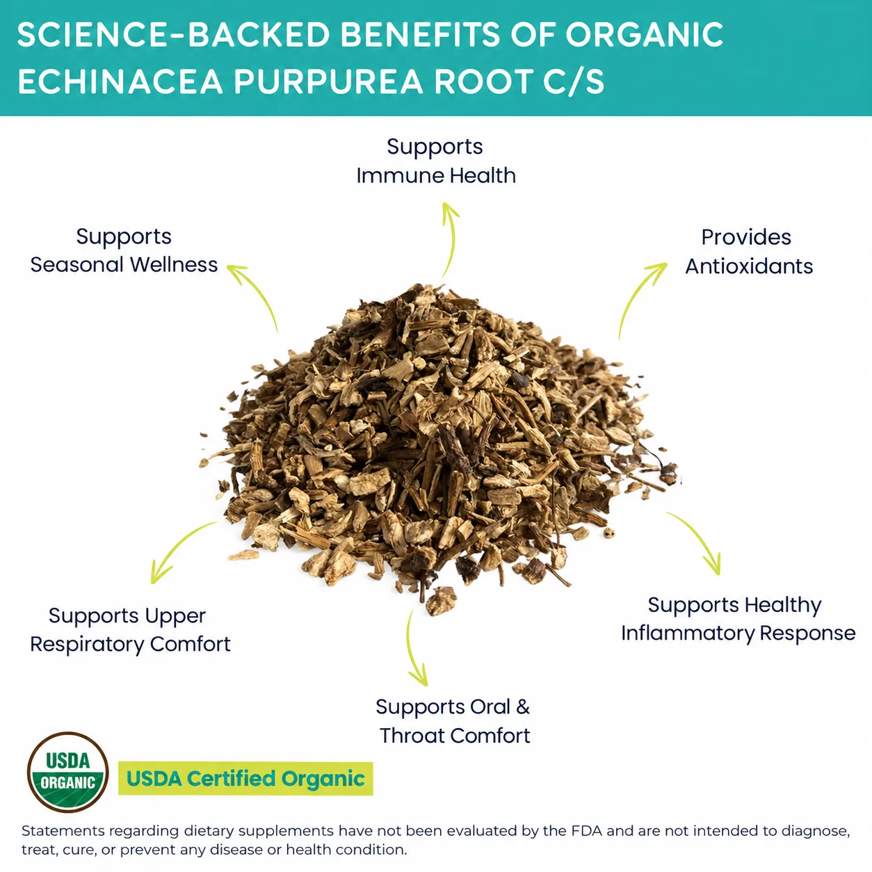 organic echinacea purpurea root benefits