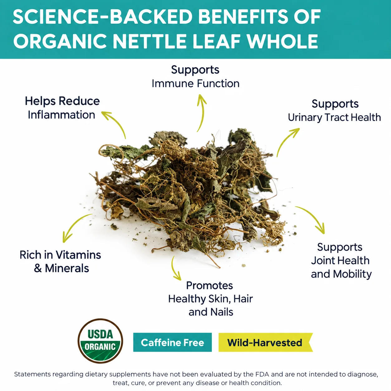 organic nettle leaf whole benefits