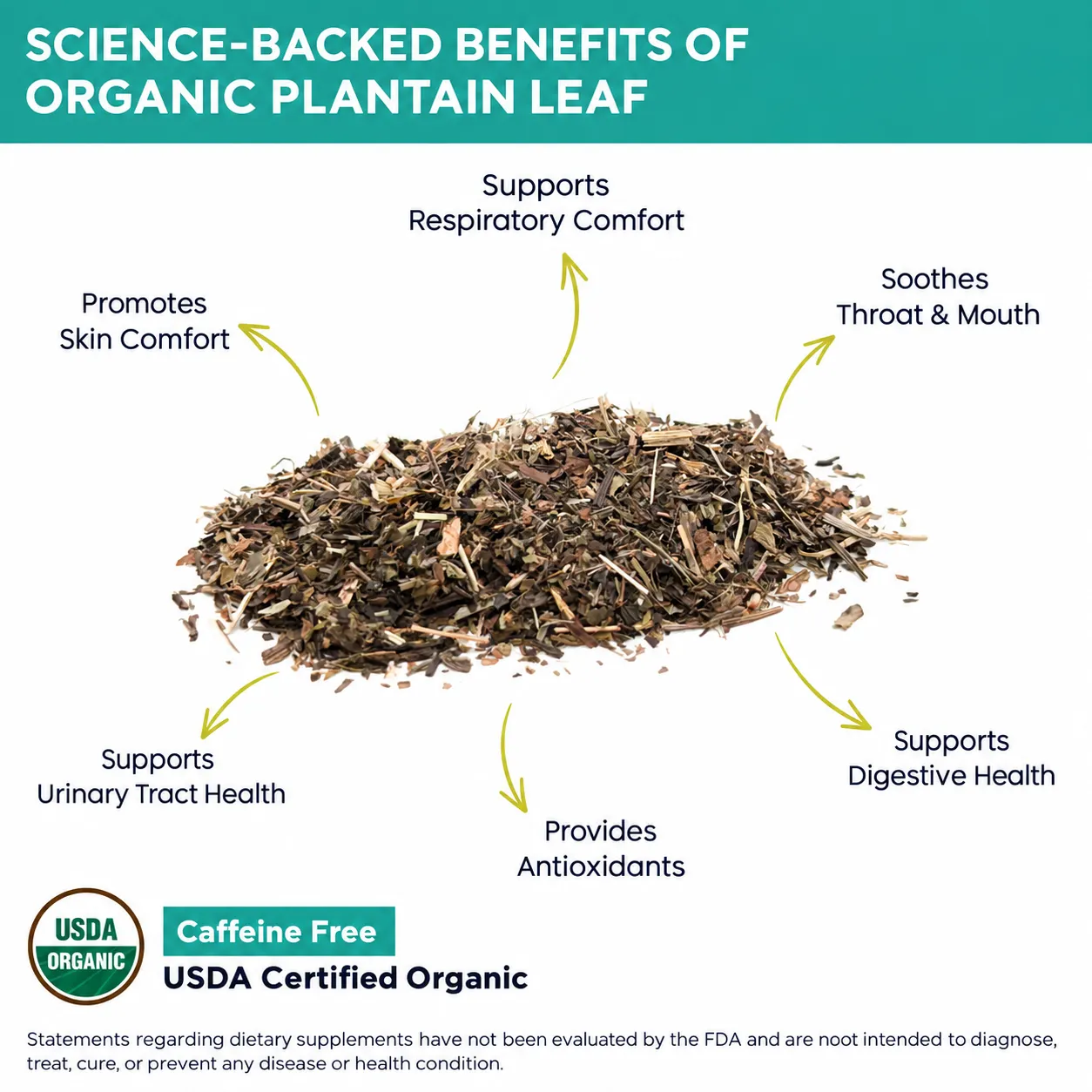 organic plantain leaf benefits