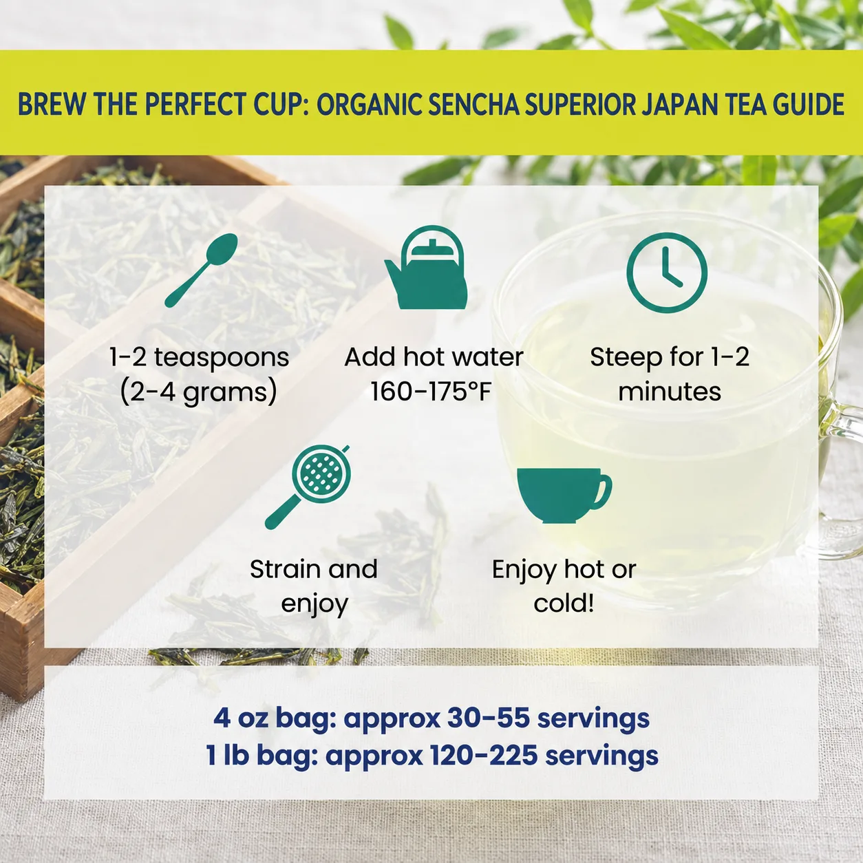 how to brew Sencha Superior Japan tea