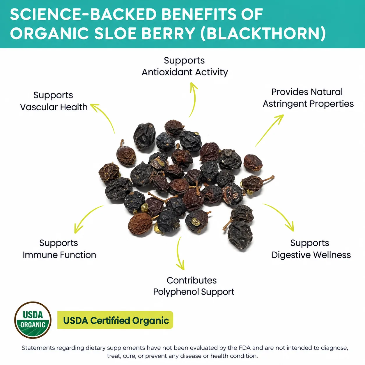 organic sloe berry blackthorn benefits