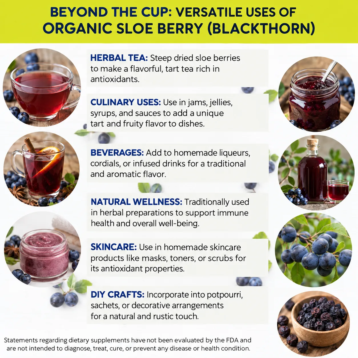 organic sloe berry blackthorn versatile uses